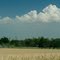 Kansas Wheat Harvest 2009