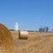 Between Cawker City & Lucas