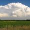 Thunderheads on the Horizon