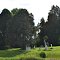 Cherry Grove Cemetery, Williamstown, KY