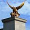 The Giant Brass Eagle