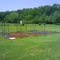 Moondog's Garden
