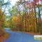 Entrance to Norris Shores - Residential Development
