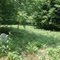 Old Flat Creek Cemetery - June 2011
