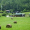 straight from the holler