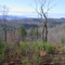 View of Saddle Ridge
