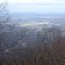 Fire Tower View