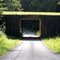 Natchez Trace National Roadway.