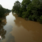 The Bayou Teche