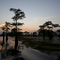 Atchafalaya Basin