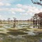 Henderson Swamp