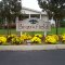 Brookfield Village