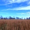 Tennessee Winter