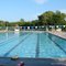 Maryland Farms Pool
