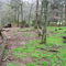 Dance Cemetery  Moore County Tennessee