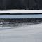 Swan on Swan Lake