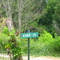 Dr. Kabir LN, only Bengali LN in Jellico, Tennessee
