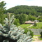 Jellico skyline