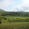 Cow pasture in Eastern Kentucky along the TWVT