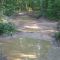 Puddles