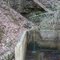 Mossy Springs