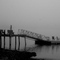 Foggy Dock