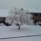 Snow Day