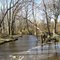 Duck Creek