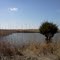 Woodland Beach Wildlife area