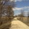 Woodland Beach Wildlife area