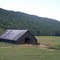 Cove View Farms in Summer