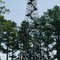Petway Lookout