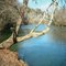 Twin Creeks at the Harpeth River