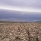 Cheatham Field