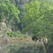 Harpeth River