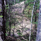 Spring Creek Road