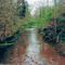 Mill Creek at Thomas Allen Road