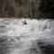 Spring Creek-Meatgrinder Cascades-Kayaking
