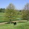 Springtime on the farm