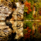 Fall Reflections
