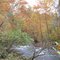 Abrams Creek