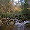 Rabbit Creek, Loooking Upstream