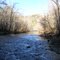 Abrams Creek Looking Upstream