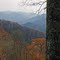 Fall at Great Smoky Mountains N.P.