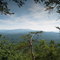 Look Rock area Foothills Parkway