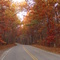 2007 Fall On Corral Road