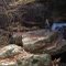 Falling Water Creek, Tennessee