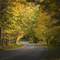 Dry Creek Road, Washington County, TN