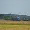 The harvest of the winter wheat.