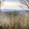 Signal Knob, TN